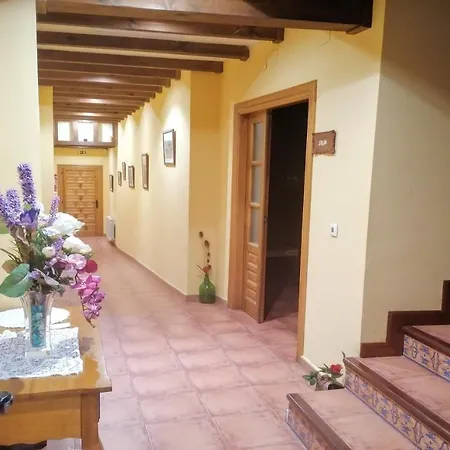 Turisticos Y Corte * Ampudia